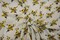 Love Flower Rayon Challis Fabric 60" Wide for Dresses, Skirts, & Summer Apparel